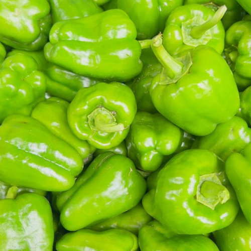 Poivrons frais